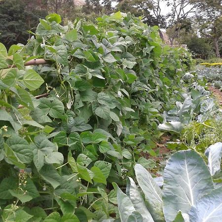 Hotel Fazenda Serraverde Pouso Alto Zewnętrze zdjęcie