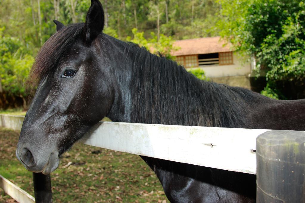 Hotel Fazenda Serraverde Pouso Alto Zewnętrze zdjęcie