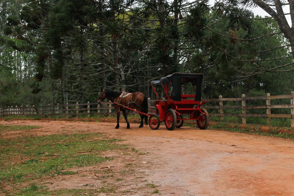 Hotel Fazenda Serraverde Pouso Alto Zewnętrze zdjęcie